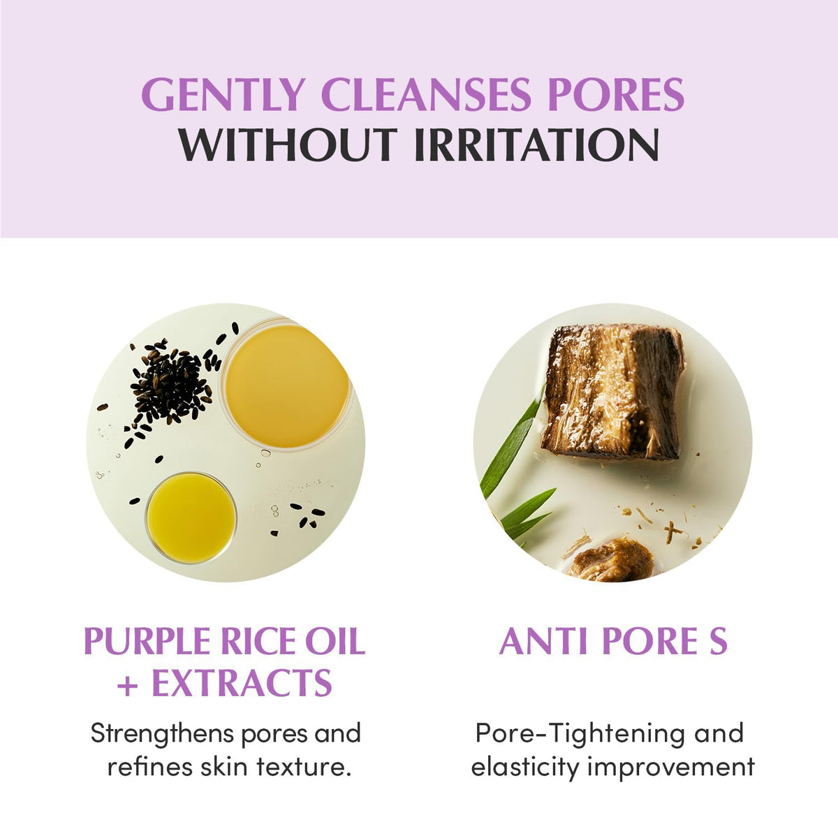 EQQUALBERRY purple rice ingredient focus for antioxidant support