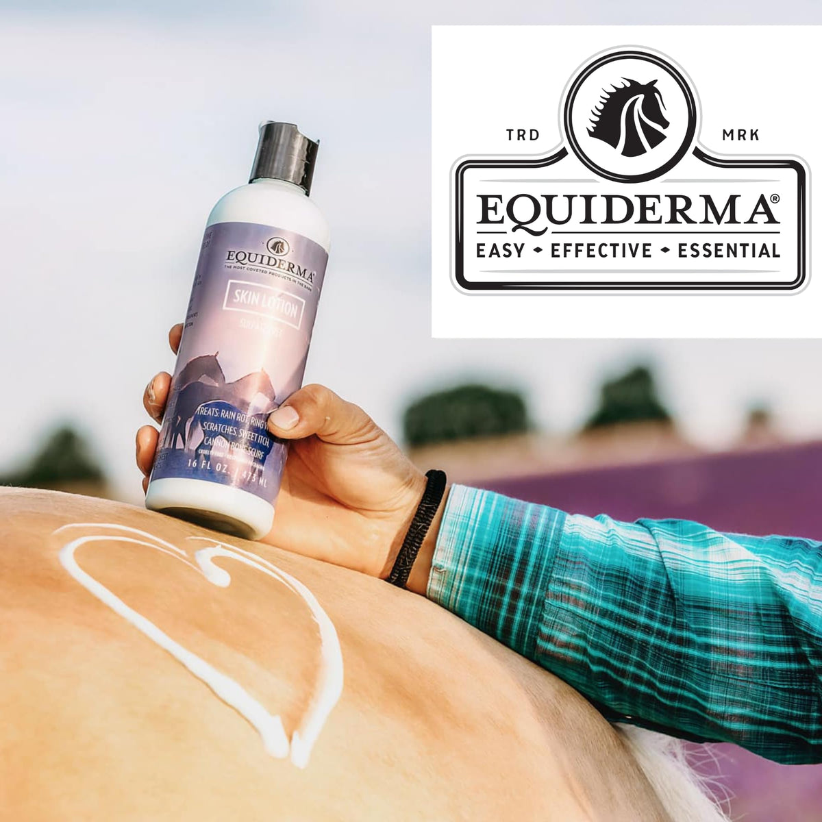 EQUIDERMA being applied to cannon bone scurf for soothing benefit