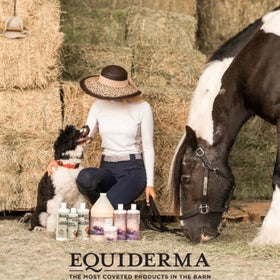 EQUIDERMA bottle in a tack trunk indicating stable-ready benefit