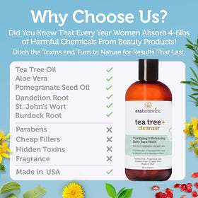Era Organics ingredients flatlay with tea tree and botanicals for comfort