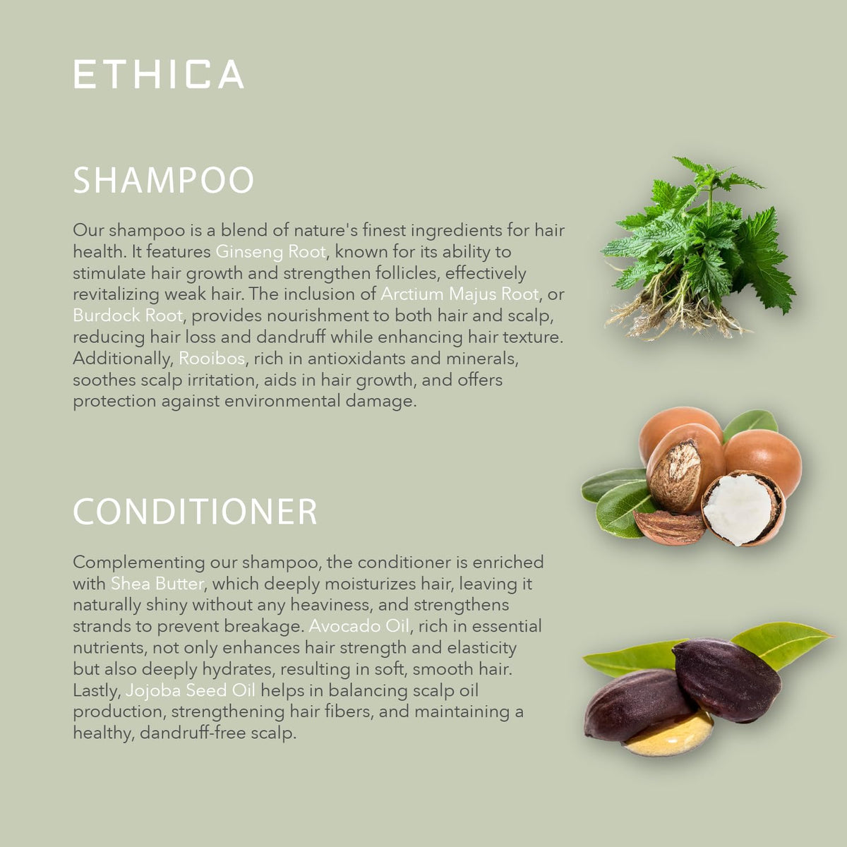 Ethica Beauty duo staged in bathroom demonstrating real-world use and sleek display