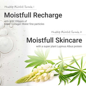 ETUDE macadamia close-up highlighting nourishing oil benefits