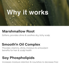 Eufora shampoo and conditioner duo on counter showing coordinated frizz-control routine