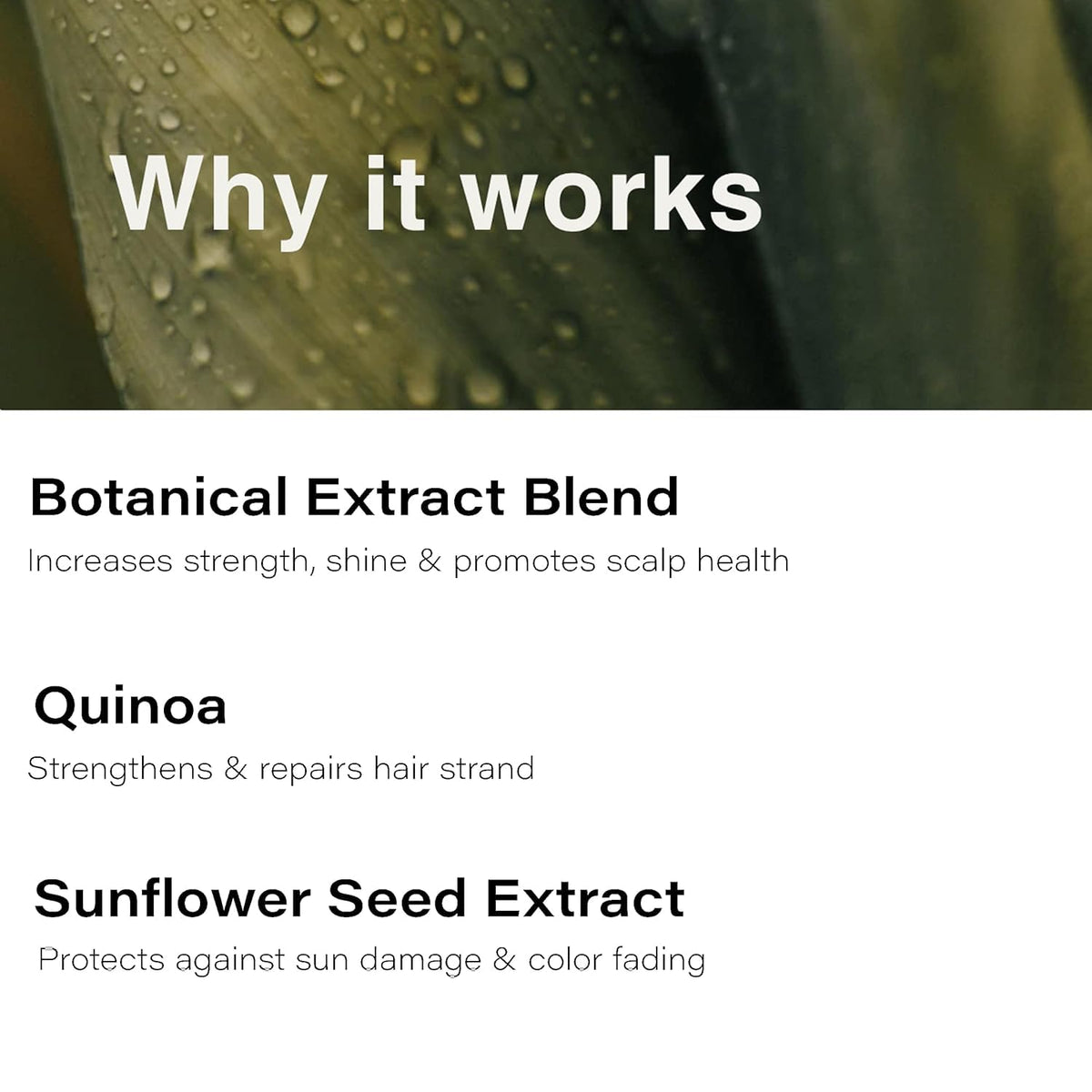 Eufora before and after hair comparison, illustrates smoother frizz control