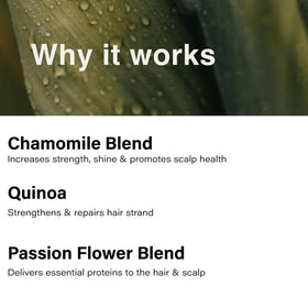 Eufora size comparison beside common items showing 9.5 fl oz travel-friendly benefit