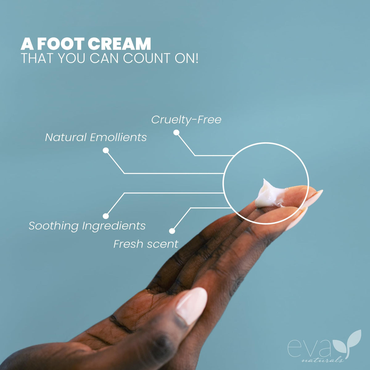 Eva Naturals ingredients display with tea tree and mint showcasing botanical refreshment