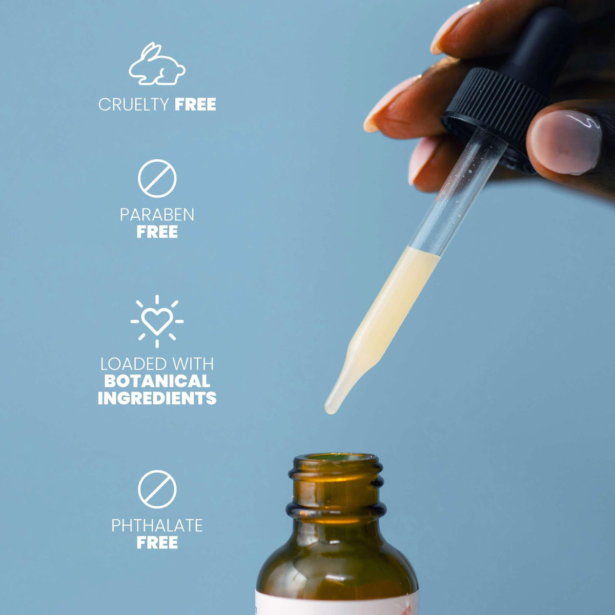 Eva Naturals botanical ingredients flatlay showing natural supporting extracts