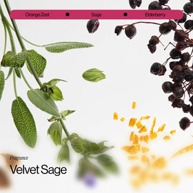 EVA·NYC red algae and bamboo ingredients highlighting resilience benefits