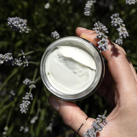 evanhealy ingredient flatlay with chamomile and carrot seed for calming