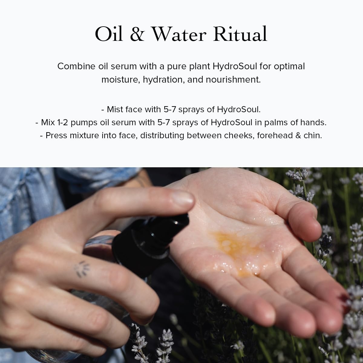 evanhealy blue chamomile and immortelle botanicals showing calming ingredients
