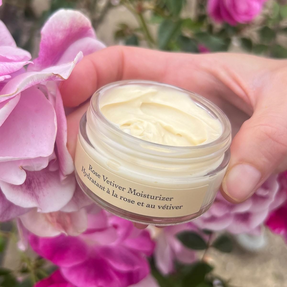 evanhealy ingredient flatlay with botanicals showing antioxidant-rich formula