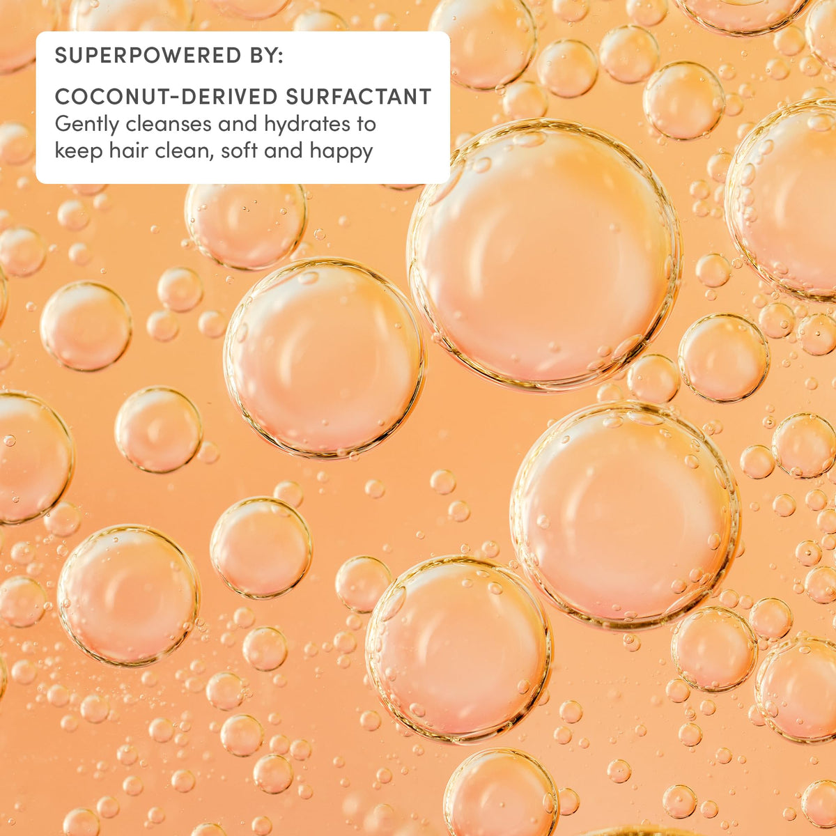 Evereden detailed label shot emphasizing gentle formula and vegan-friendly claims