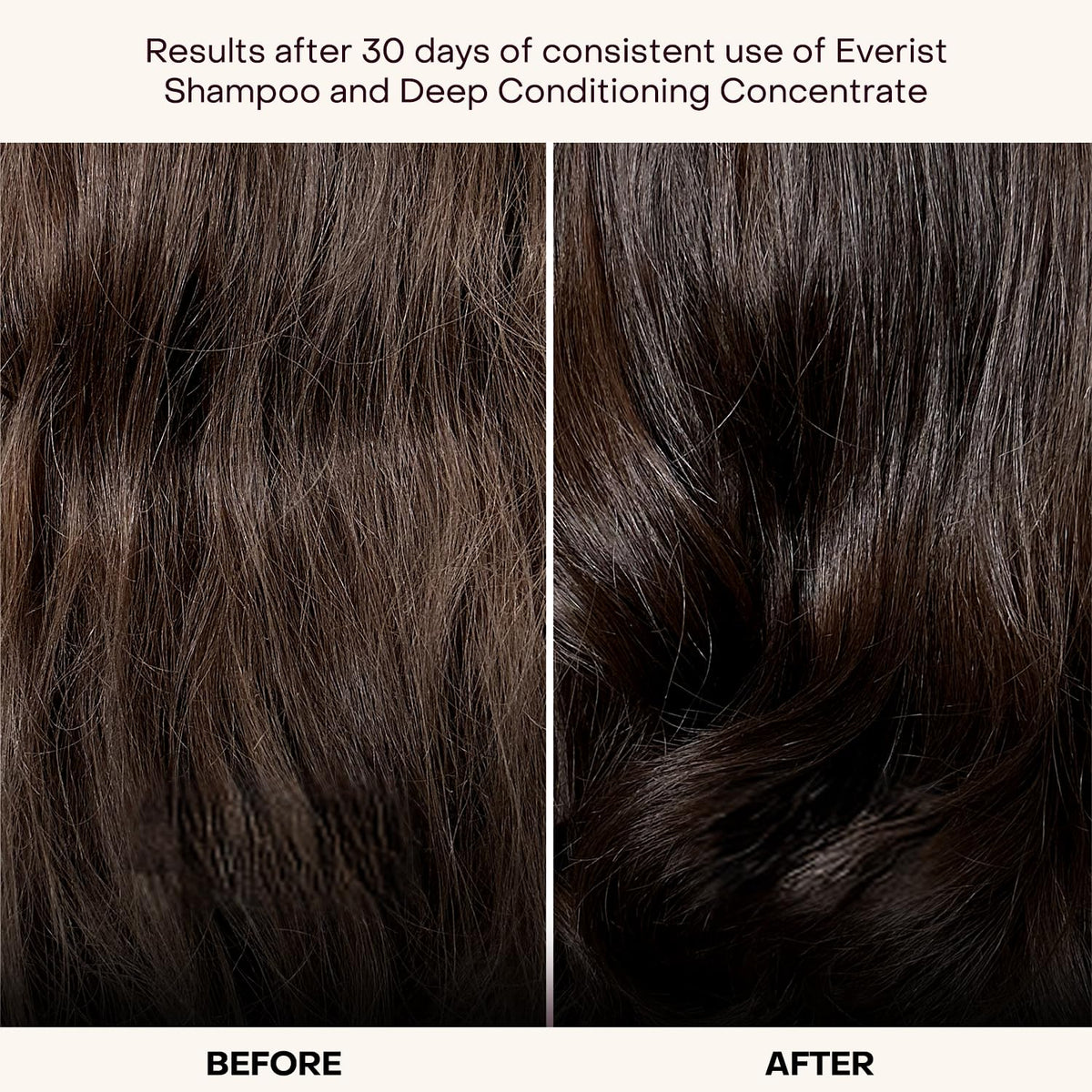 Everist shampoo concentrate texture closeup highlighting repair strength