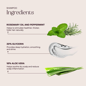 Everist conditioner cream texture demonstrating deep hydration