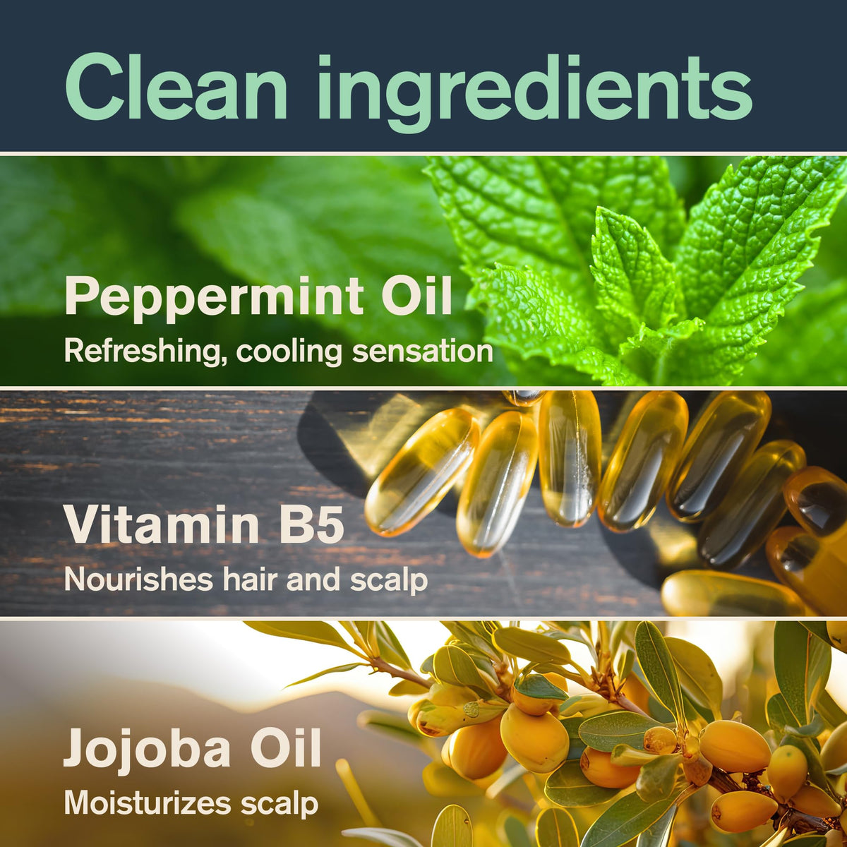 Every Man Jack ingredients with jojoba and eucalyptus emphasizing natural conditioning benefits