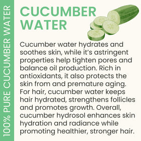 Everyday Beauty label close-up showing ingredient clarity and quality benefit