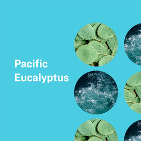 everyone for every body side profile of the eucalyptus soap bar highlighting shape