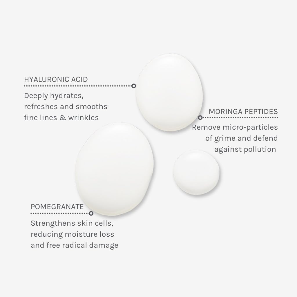 Evolve Organic Beauty moringa close-up highlighting pollutant-clearing peptide benefits