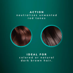 Fanola being applied on damp hair to neutralize red undertones and detangle