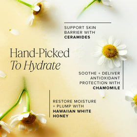Farmacy hand press application demonstrating quick absorption and hydrated feel