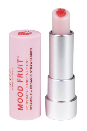 FarmHouse Fresh lip balm beside a coin for scale indicating travel-friendly size