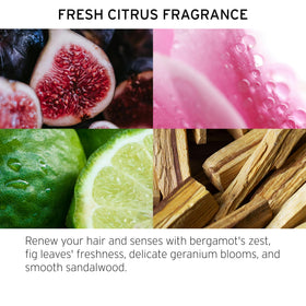 Fekkai prime mist spray texture captured mid-air showing lightweight hydration and slip