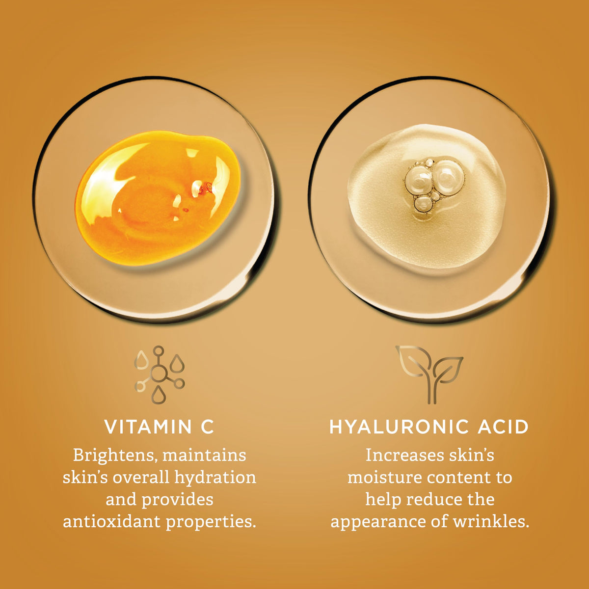 Findley label ingredient list close-up showing Vitamin C and Hyaluronic Acid transparency