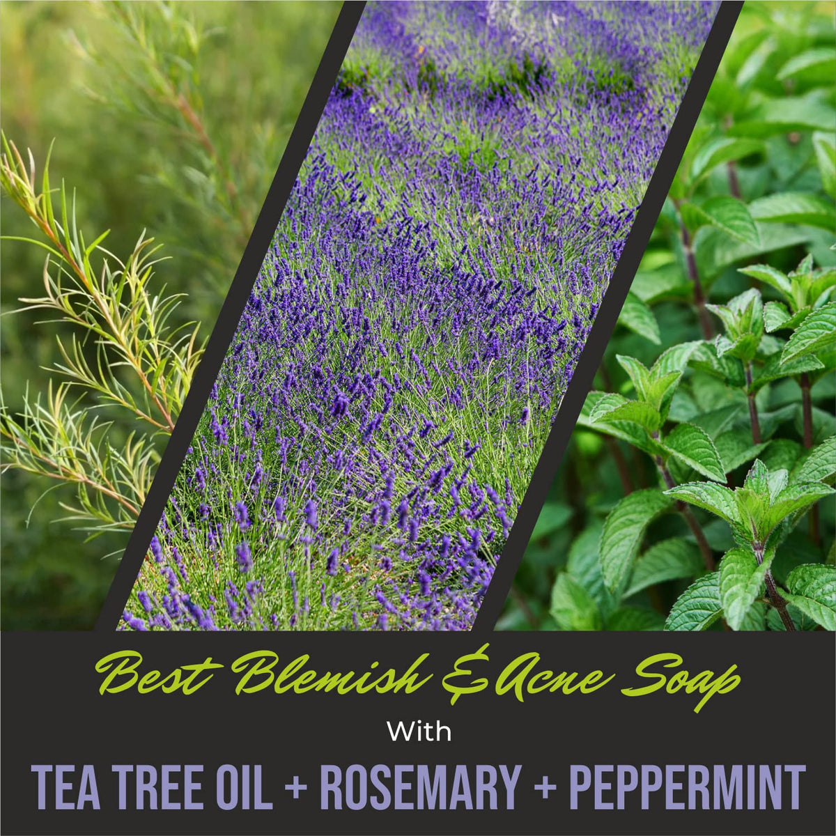 First Botany ingredient oils display with tea tree and peppermint benefits