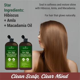 First Botany lifestyle image of eucalyptus sprig and tea tree oil implying clean natural scent