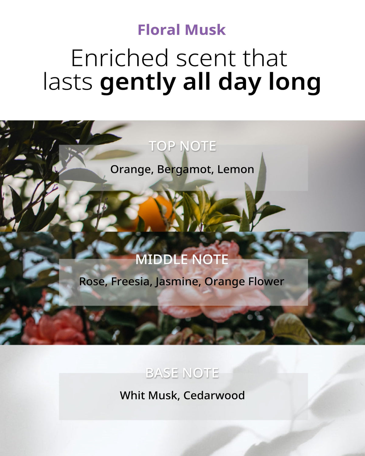 FIT YOUR SKIN bottle label showing key botanical oils and gentle formulation benefits