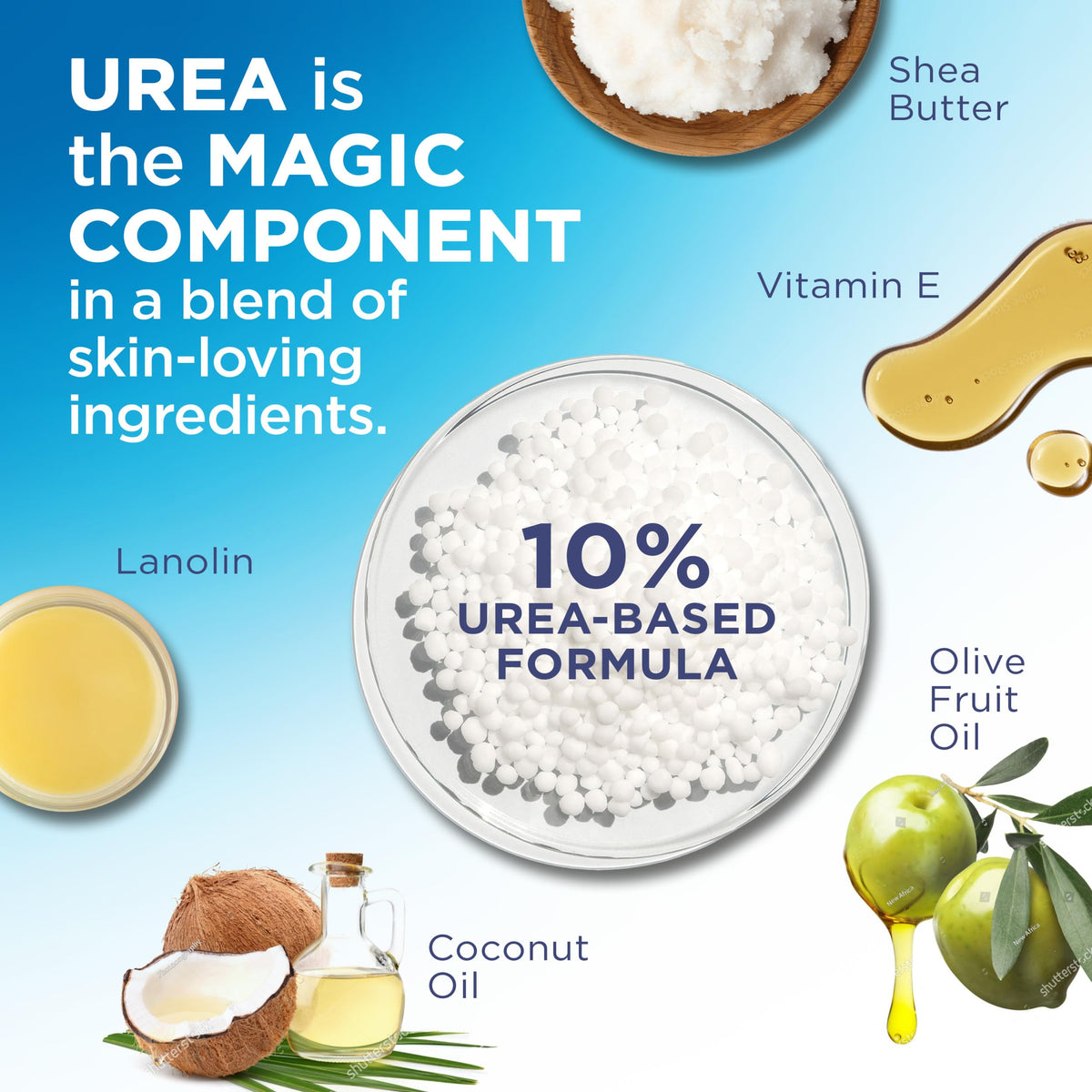 Flexitol ingredients label close-up highlighting urea content
