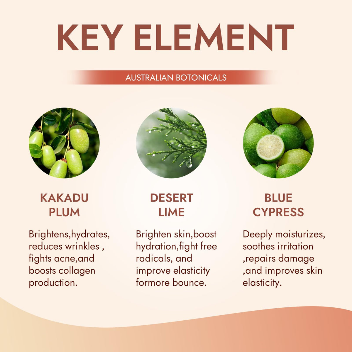 FMRFMR botanical ingredients arranged to show Kakadu plum benefit