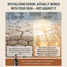 Forge Skin green tea extract ingredient image emphasizing antioxidant skin protection