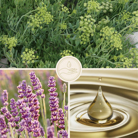 frei öl label ingredients detail showing vitamins A and E and natural oils benefits