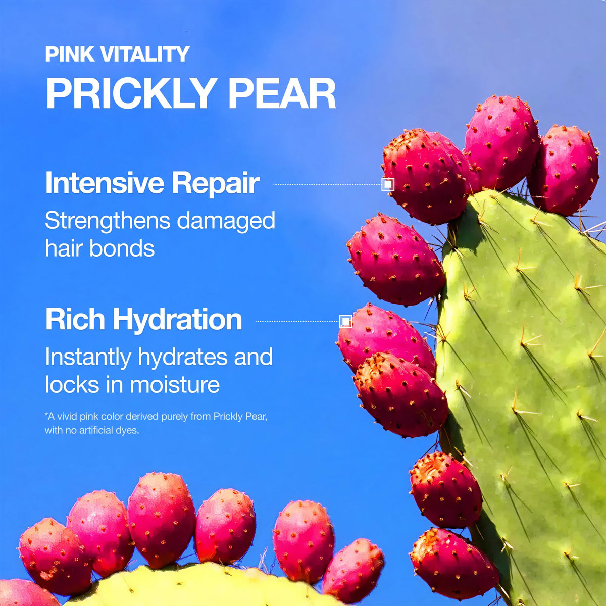 FROMLABS ingredient panel closeup showing clean K‑Beauty formulation benefits