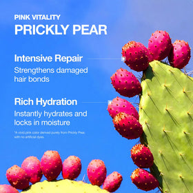 FROMLABS ingredient panel closeup showing clean K‑Beauty formulation benefits