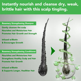 FSLHCY creamy shampoo texture close-up demonstrating rich lathering