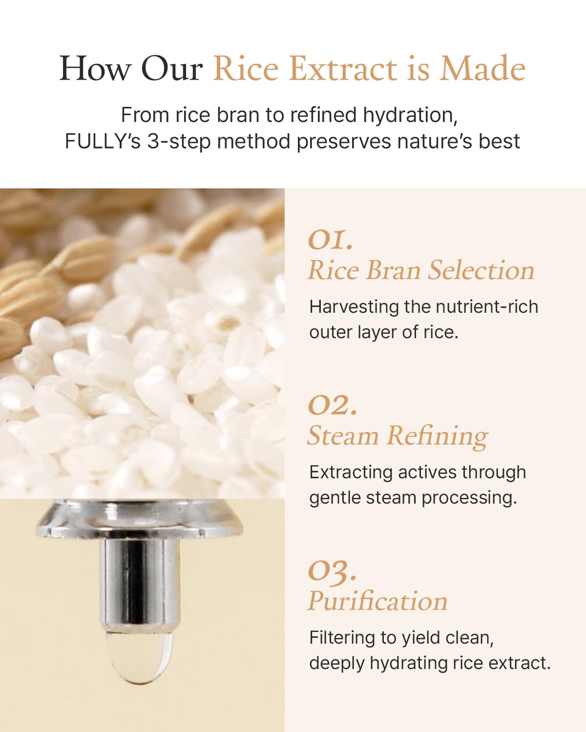 FULLY label close-up showing rice ceramide ingredient benefits