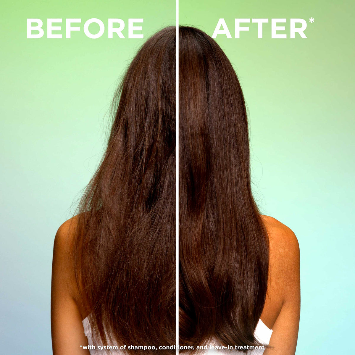 Garnier Fructis bottle next to common items for size comparison and value