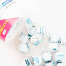 GASHINA STORY Kane-bo capsules beside a coin for size and travel convenience