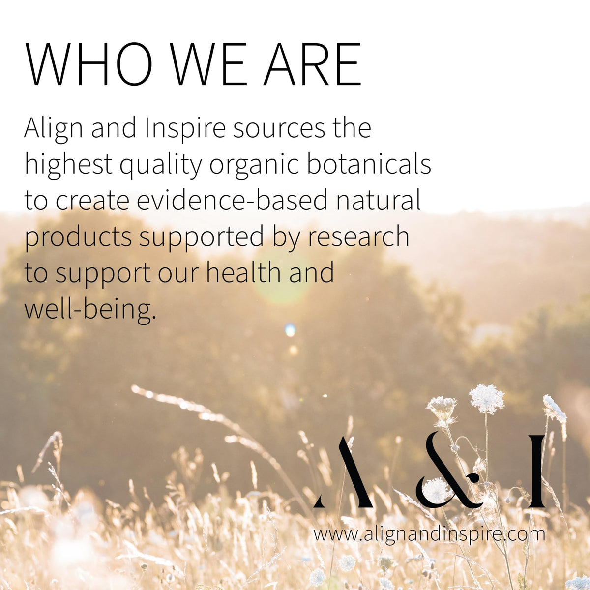Generic bakuchiol serum ingredient organic botanicals emphasizing cold-pressed potency benefit