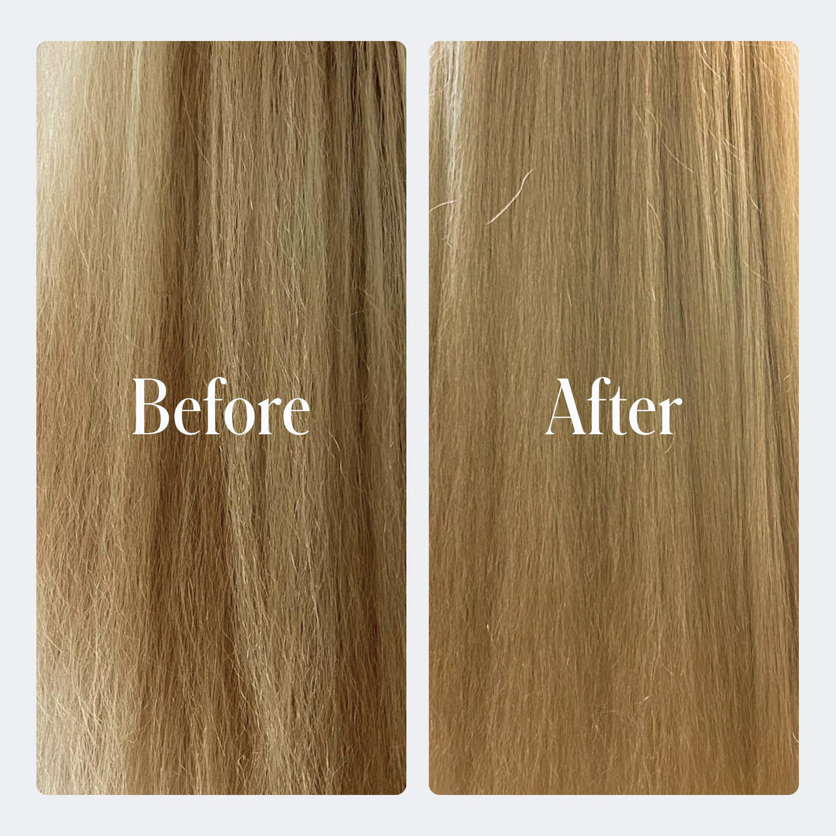 Geologie co‑wash key ingredients avocado and coconut highlighting nourishment