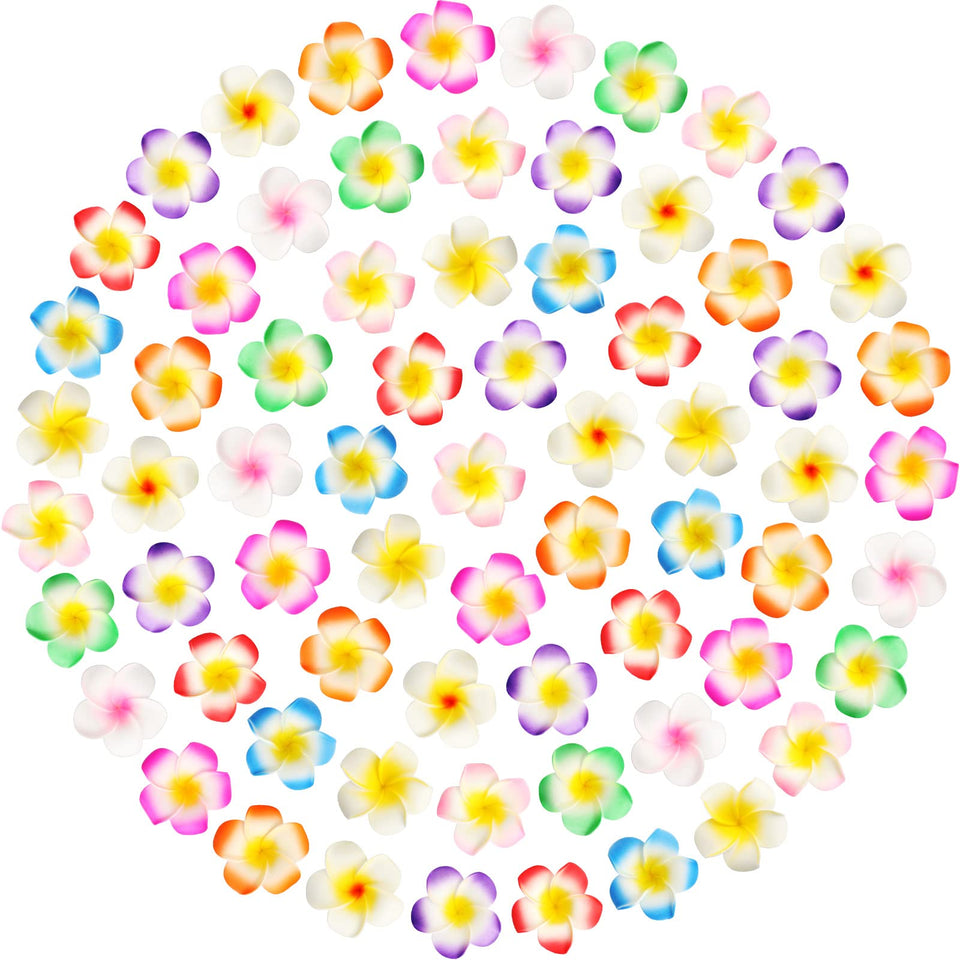 Geosar front view of 100-piece plumeria clip kit showing colorful assortment and quantity benefit