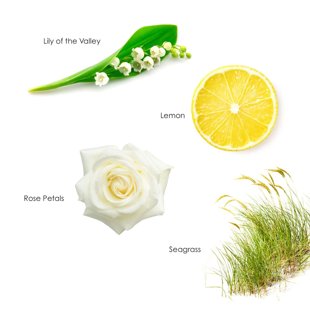 Gilchrist & Soames label close-up showing ingredient clarity and clean formulation