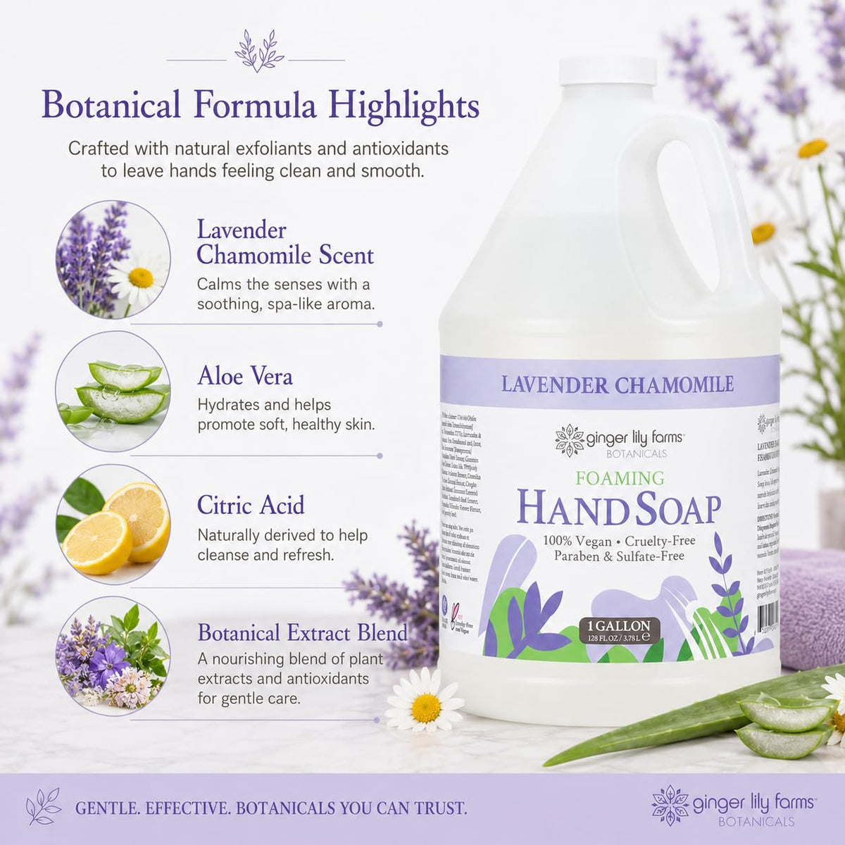 Ginger Lily Farms one-gallon next to a hand soap pump showing scale and savings