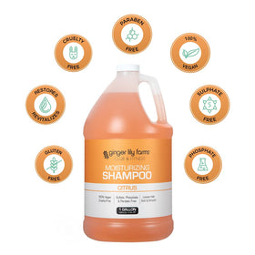 Ginger Lily Farms gallon next to standard bottle showing volume benefit