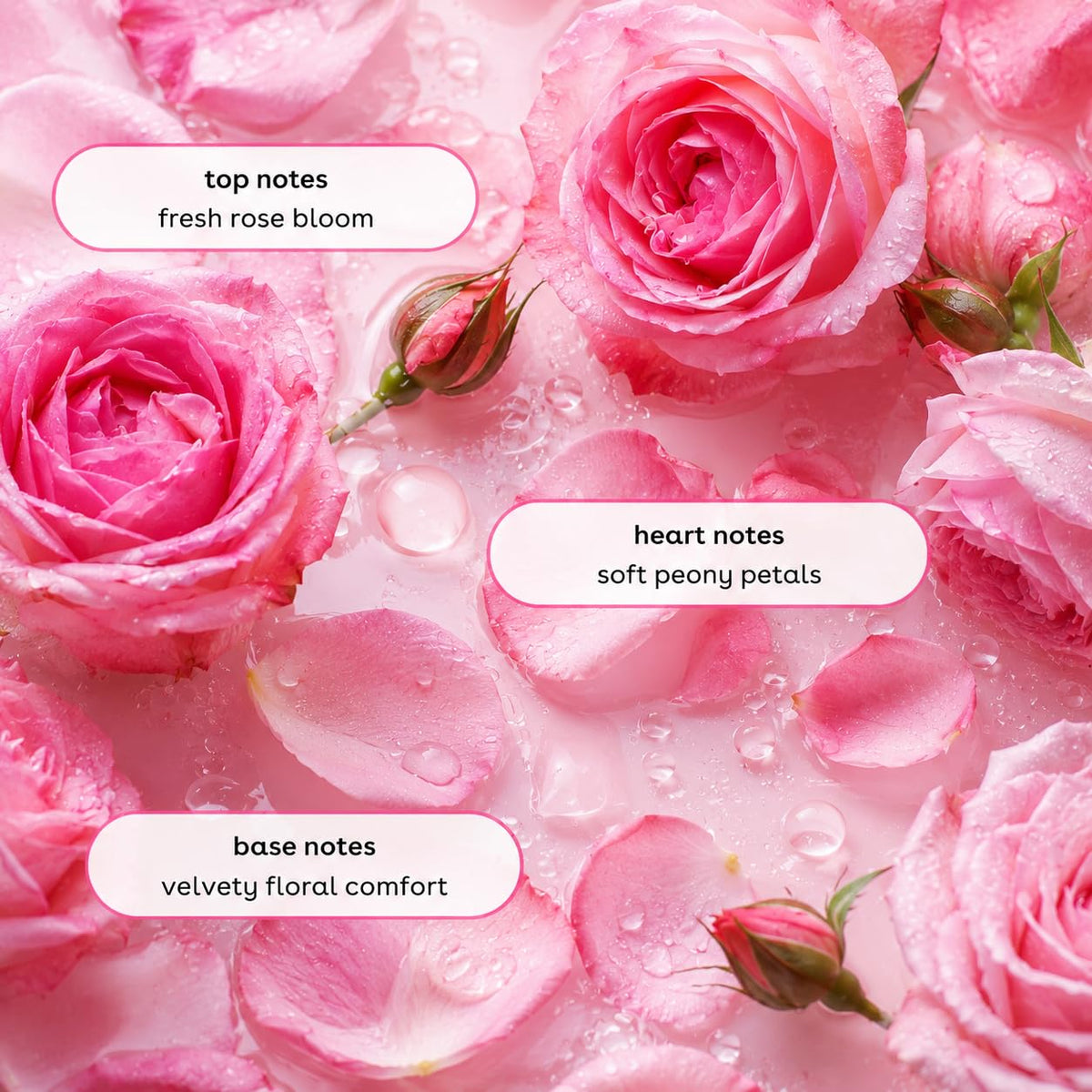Ginger Lily Farms scent ingredients flatlay showing rose and herbs