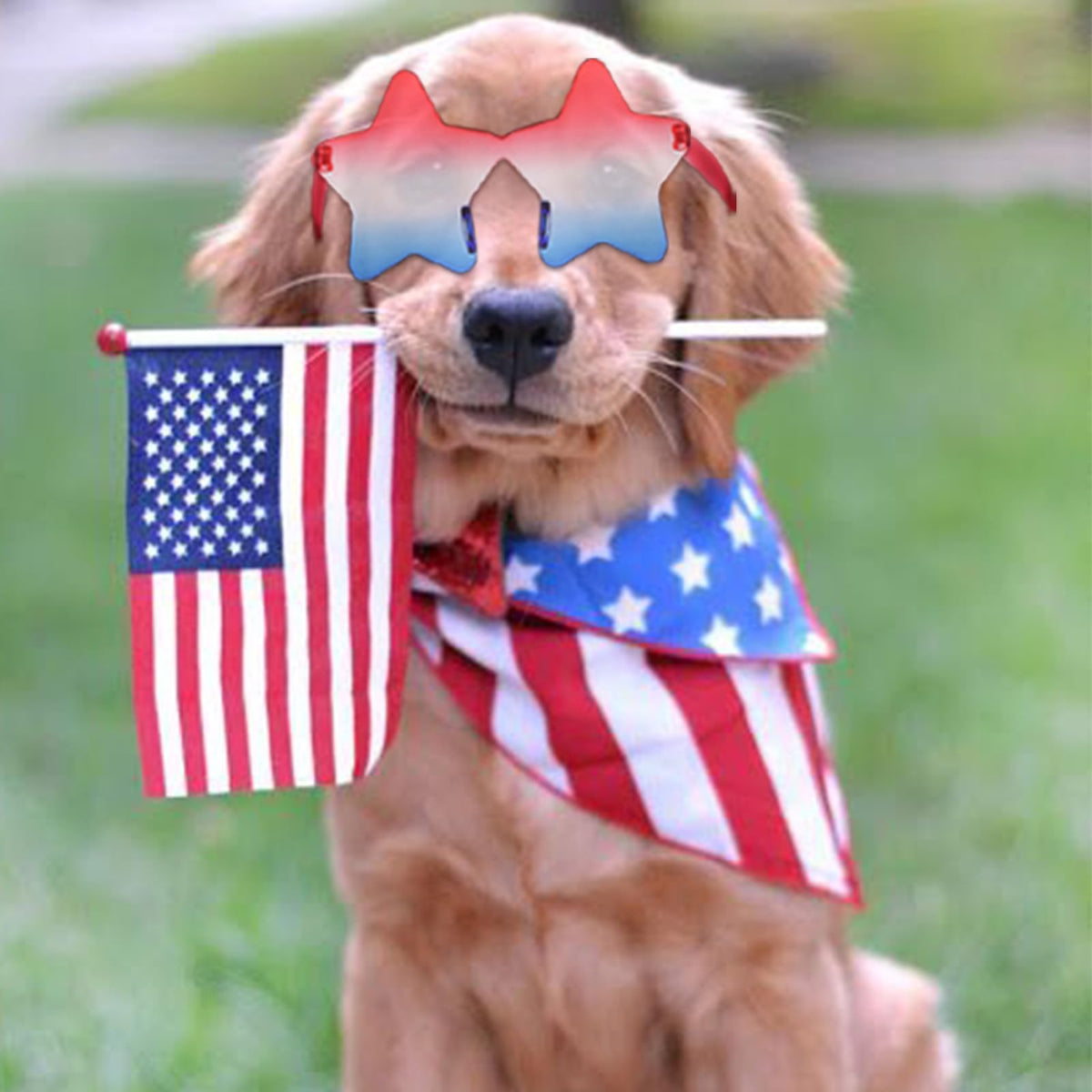 Go Ho accessories worn at a parade creating visible patriotic presence
