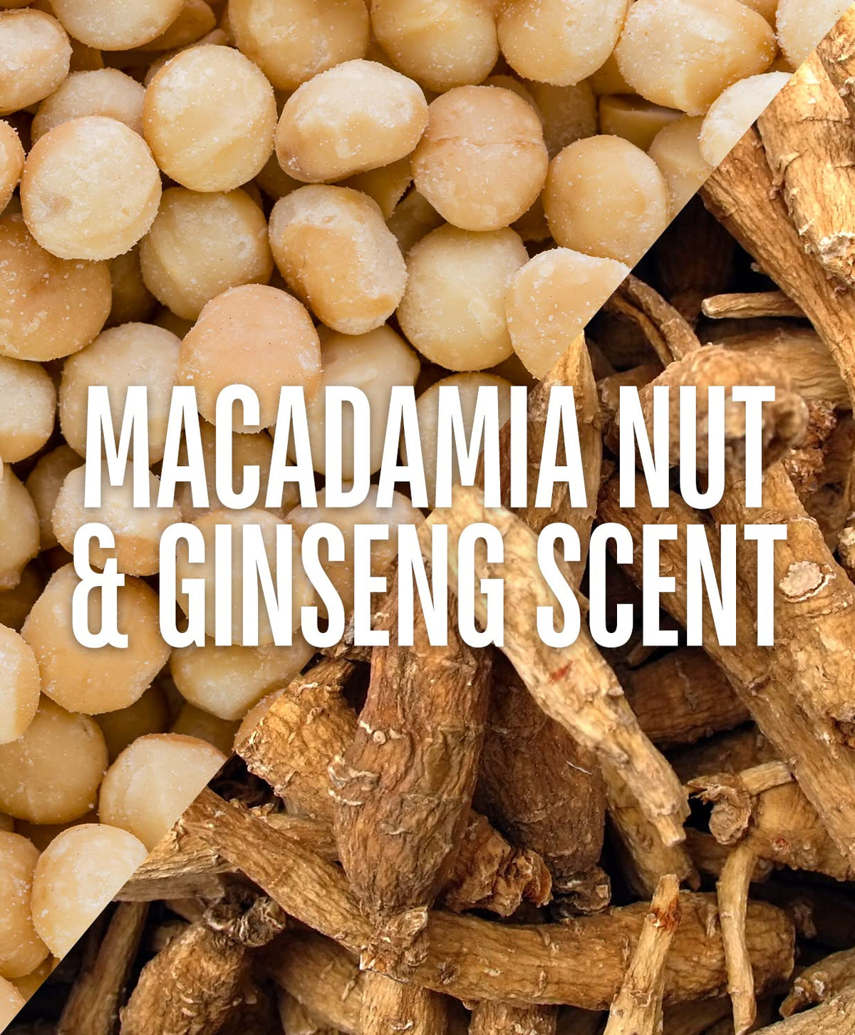 GO247 ingredients focus with coconut and soy visuals indicating nourishing benefit