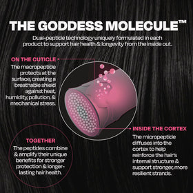 Goddess Maintenance used during blow-dry in salon for faster styling